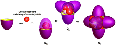 Graphical abstract: Guest-mediated switching of the assembly state of a water-soluble deep-cavity cavitand