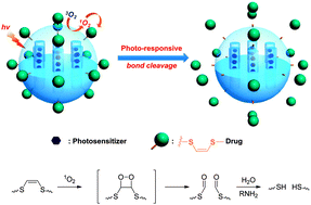 Graphical abstract: Mesoporous silica nanoparticle facilitated drug release through cascade photosensitizer activation and cleavage of singlet oxygen sensitive linker