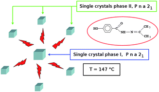 Graphical abstract: A series of compounds forming polar crystals and showing single-crystal-to-single-crystal transitions between polar phases