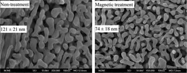 Graphical abstract: Influence of magnetic field on dealloying of Al-25Ag alloy and formation of nanoporous Ag