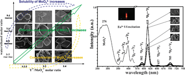 Graphical abstract: Shape-controlled synthesis of monodispersed nano-/micro- NaY(MoO4)2 (doped with Eu3+) without capping agents via a hydrothermal process