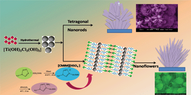 Graphical abstract: Hydrothermal synthesis of rutile TiO2 nanoflowers using Brønsted Acidic Ionic Liquid [BAIL]: Synthesis, characterization and growth mechanism