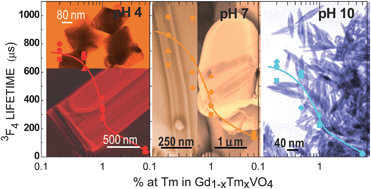 Graphical abstract: Micro- and nanosized architectures in hydrothermal Tm3+-doped GdVO4: chemical insights towards preservation of the emission efficiency