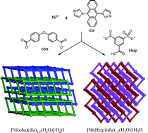 Graphical abstract: Nickel coordination polymers with {48.62} and bnn topologies constructed from common square-pyramidal 5-connected nodes