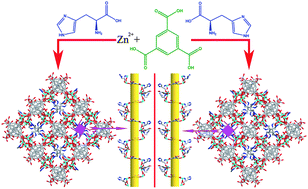 Graphical abstract: Helicity controlled by the chirality of amino acid: two novel enantiopure chiral 3D architectures containing fivefold interwoven helices