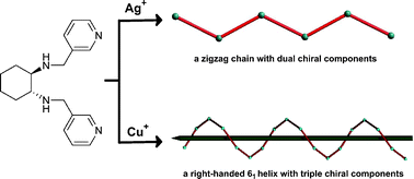 Graphical abstract: Metal-directed one-dimensional chiral zigzag chains and right-handed 61 helix with multiple chiral components: luminescence and NLO properties