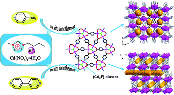 Graphical abstract: The multifunctional roles of the ionic liquid [Bmim][BF4] in the creation of cadmium metal–organic frameworks