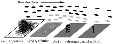 Graphical abstract: Morphology and growth mechanism of novel zinc oxide nanostructures synthesized by a carbon thermal evaporation process