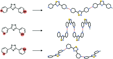 Graphical abstract: Cationic and anionic 1D chains based on NH+⋯N charge-assisted hydrogen bonds in bipyridyl derivatives and polyiodides