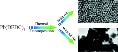 Graphical abstract: Synthesis of monodispersed Au–PbS hybrid nanocrystals via a solid–liquid interfacial reaction