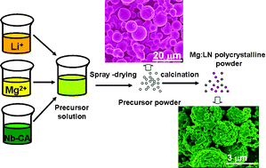 Graphical abstract: Spray drying mass-production route for Mg-doped LiNbO3 (Mg:LN) polycrystalline powder based on a wet-chemical method