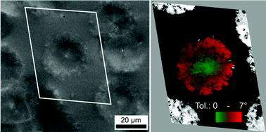 Graphical abstract: Orientational changes during the surface crystallisation of cordierite from a B2O3/Al2O3/MgO/SiO2 glass