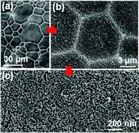 Graphical abstract: Fine-tuning the feature size of nanoporous silver
