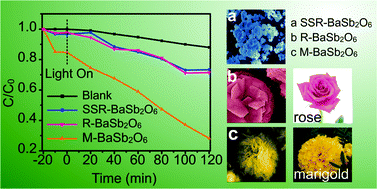 Graphical abstract: One-step template-free synthesis of BaSb2O6 micro-flowers and their associated photocatalytic activity