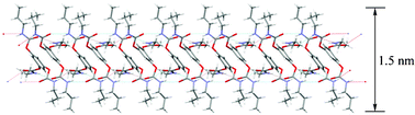 Graphical abstract: Hydrogen bonded chiral sheet self-assembled from a C3-symmetric tricarbamate