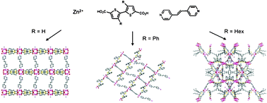 Graphical abstract: Synthesis, structure, and luminescent properties of oligothiophene-containing metal–organic frameworks