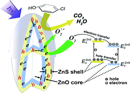 Graphical abstract: One-step preparation of hollow ZnO core/ZnS shell structures with enhanced photocatalytic properties
