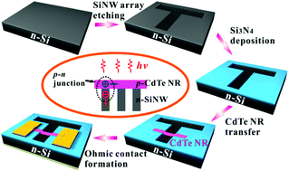 Graphical abstract: p-CdTe nanoribbon/n-silicon nanowires array heterojunctions: photovoltaic devices and zero-power photodetectors