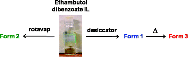 Graphical abstract: Polymorphism in an API ionic liquid: ethambutol dibenzoate trimorphs