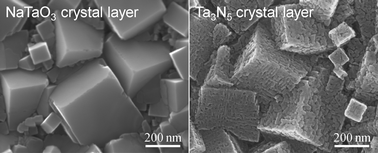 Graphical abstract: Direct fabrication and nitridation of a high-quality NaTaO3 crystal layer onto a tantalum substrate