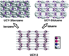 Graphical abstract: A flexible Cd2+ metal organic framework with a unique (3,3,6)-connected topology, unprecedented secondary building units and single crystal to single crystal solvent exchange properties