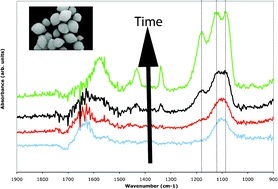 Graphical abstract: Infrared investigation of barite and gypsum crystallization: Evidence for an amorphous to crystalline transition