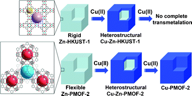 Graphical abstract: Transmetalations in two metal–organic frameworks with different framework flexibilities: Kinetics and core–shell heterostructure