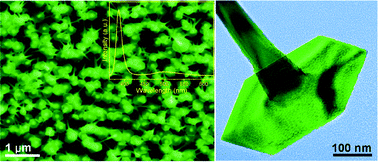 Graphical abstract: Catalyst-free synthesis of single crystalline ZnO nanonails with ultra-thin caps