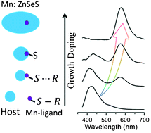 Graphical abstract: Facile synthesis, optical properties and growth mechanism of elongated Mn-doped ZnSe1−xSx nanocrystals