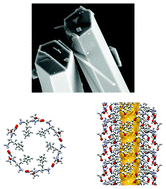 Graphical abstract: Guest diffusion in dipeptide crystals