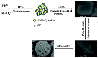 Graphical abstract: Hierarchical PbMoO4 microspheres: hydrothermal synthesis, formation mechanism and photocatalytic properties