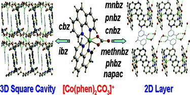 Graphical abstract: Water-mediated supramolecular architecture of Co(iii)–phenanthroline complexes: organizational control to 2D-layers and 3D-square cavities through substituted aryl carboxylate anions