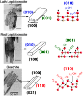 Graphical abstract: Structural controls on OH site availability and reactivity at iron oxyhydroxide particle surfaces