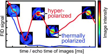 Graphical abstract: Proton magnetic resonance imaging with para-hydrogen induced polarization