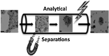 Graphical abstract: Analytical methods for separating and isolating magnetic nanoparticles
