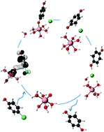 Graphical abstract: Oxo iron(iv) as an oxidative active intermediate of p-chlorophenol in the Fenton reaction: a DFT study