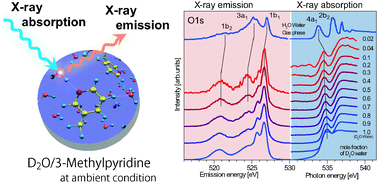Graphical abstract: Hydrogen bonding of water in 3-methylpyridine studied by O 1s X-ray emission and absorption spectroscopy