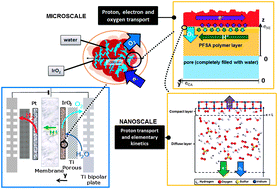 Graphical abstract: A multiscale physical model for the transient analysis of PEM water electrolyzer anodes