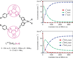 Graphical abstract: Tunable double photochromism of a family of bis-DTE bipyridine ligands and their dipolar Zn complexes