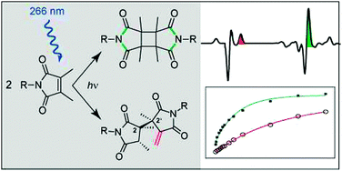 Graphical abstract: Characterization of maleimide dimers in photo-cross-linked copolyimide films