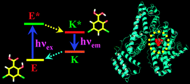 Graphical abstract: Spectral deciphering of the interaction between an intramolecular hydrogen bonded ESIPT drug, 3,5-dichlorosalicylic acid, and a model transport protein