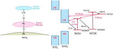 Graphical abstract: Multiple electron injection dynamics in linearly-linked two dye co-sensitized nanocrystalline metal oxide electrodes for dye-sensitized solar cells