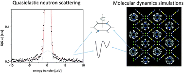 Graphical abstract: In-plane pyridinium cation reorientation in bis-thiourea chloride, bromide and iodide: quasielastic neutron scattering combined with molecular dynamics simulations