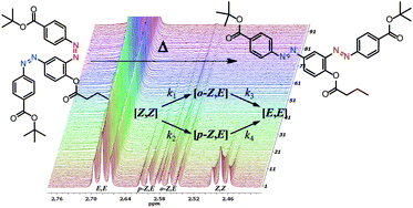 Graphical abstract: Kinetic analysis of the thermal isomerisation pathways in an asymmetric double azobenzene switch