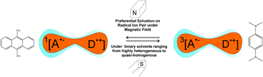 Graphical abstract: Experimental observation of preferential solvation on a radical ion pair using MARY spectroscopy