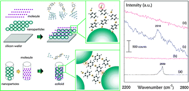 Graphical abstract: In situ identification of the adsorption of 4,4′-thiobisbenzenethiol on silver nanoparticles surface: a combined investigation of surface-enhanced Raman scattering and density functional theory study