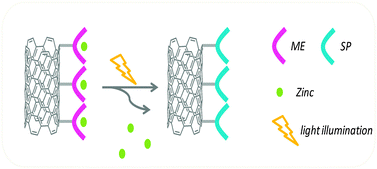 Graphical abstract: Photo-controlled release of zinc metal ions by spiropyran receptors anchored to single-walled carbon nanotubes