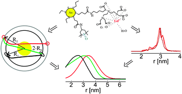 Graphical abstract: Distance measurements in Au nanoparticles functionalized with nitroxide radicals and Gd3+–DTPA chelate complexes