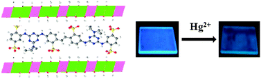 Graphical abstract: Luminescent ultrathin film of anionic styrylbiphenyl derivative–layered double hydroxide and its reversible sensing for heavy metal ions
