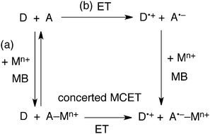 Graphical abstract: Mechanisms of metal ion-coupled electron transfer